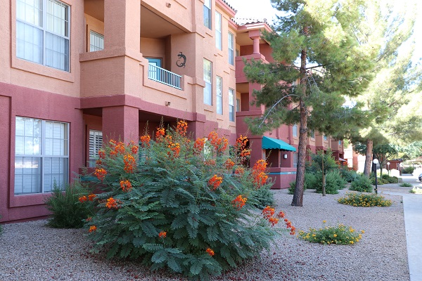 Building 2 and Flowers